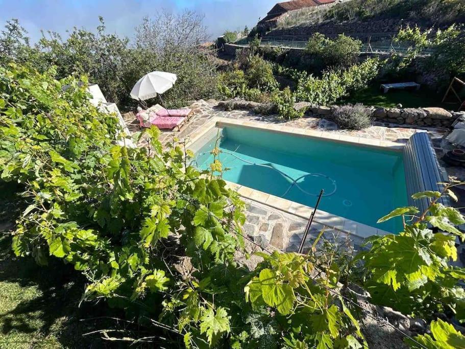 Lilly'S Finca - Romantischter Rueckzugsort - Pool Vilaflor Eksteriør bilde