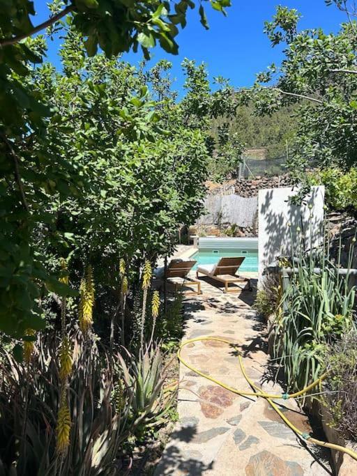 Lilly'S Finca - Romantischter Rueckzugsort - Pool Vilaflor Eksteriør bilde