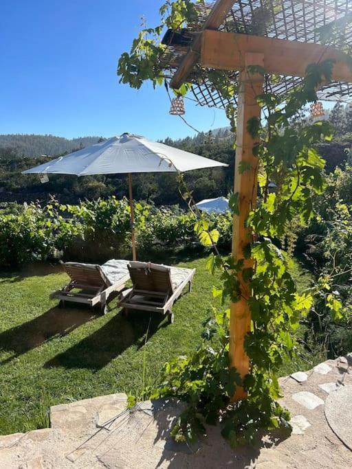 Lilly'S Finca - Romantischter Rueckzugsort - Pool Vilaflor Eksteriør bilde