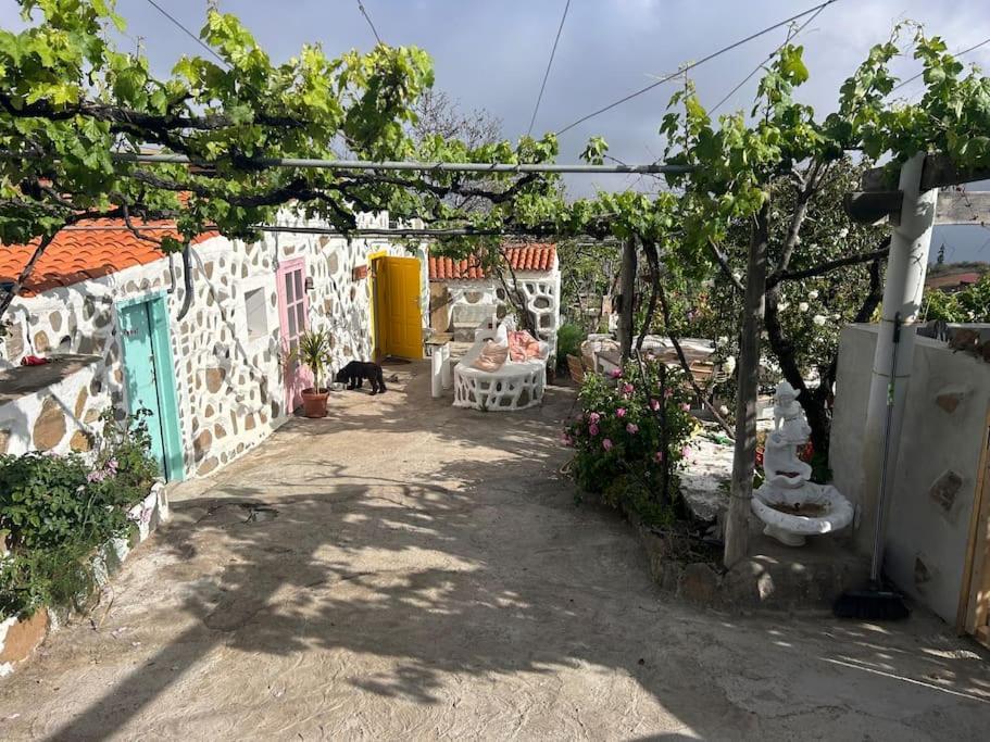 Lilly'S Finca - Romantischter Rueckzugsort - Pool Vilaflor Eksteriør bilde
